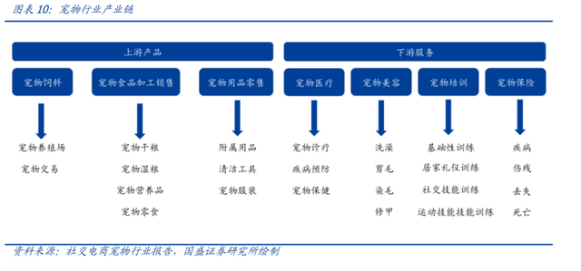 宠物产业链 万亿级赛道正开启——从“饲养”到“服务的黄金时代
