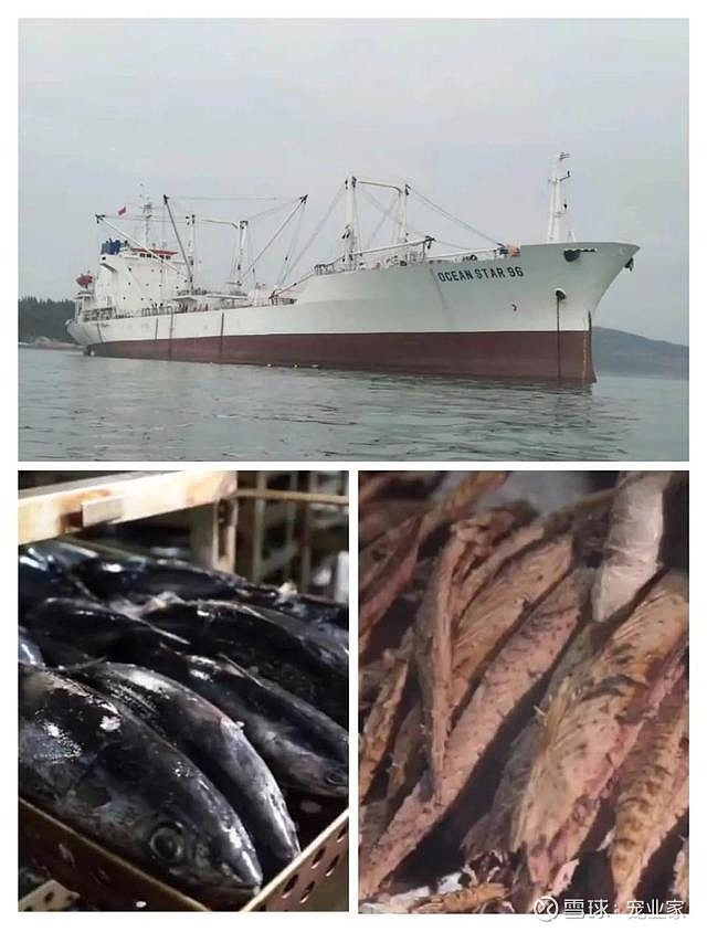 背靠35年人用食品出口工厂,萌冠宠食定位宠物罐头一站式代工服务商
